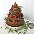 5 Tier Chocolate Wedding Cake