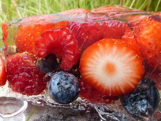 Fruit terrine (3)