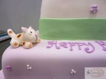 70th Birthday Cake Cat